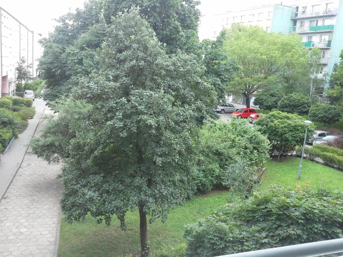 3030 Jana Spychalskiego 32 - Tanie Pokoje W Apartamencie - Samodzielne Zameldowanie - Self Check In Poznań Extérieur photo